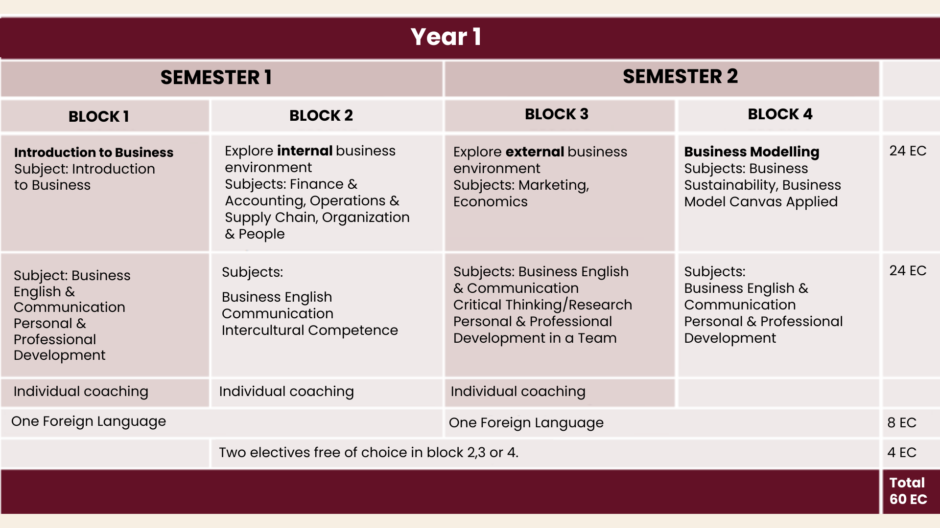 Curriculum overview year 1
